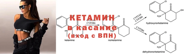 твердый Аркадак